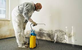 Best Mold Removal for HVAC Installations  in USA